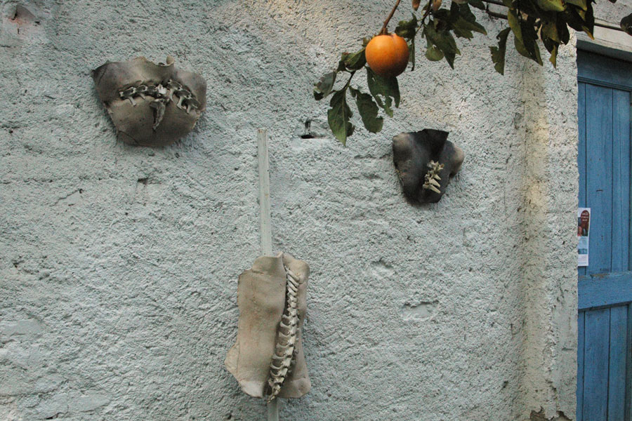  Sara Russo - Vaso gabbia, dettaglio